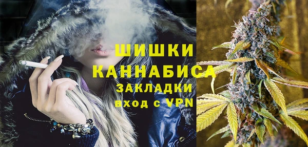 эйфоретик Гусь-Хрустальный