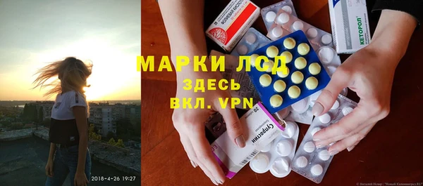 эйфоретик Гусь-Хрустальный