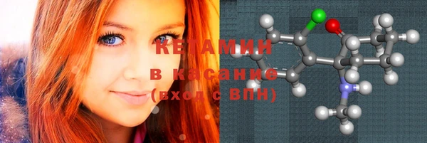 эйфоретик Гусь-Хрустальный