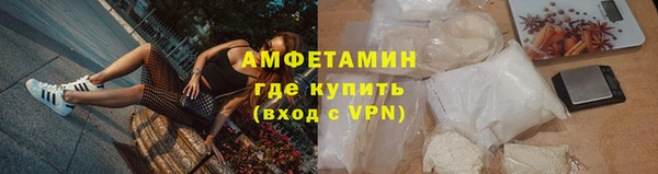 эйфоретик Гусь-Хрустальный