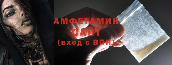 эйфоретик Гусь-Хрустальный