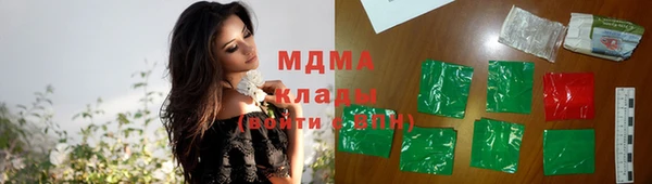 эйфоретик Гусь-Хрустальный