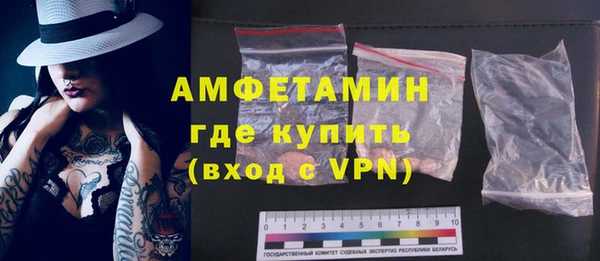 эйфоретик Гусь-Хрустальный