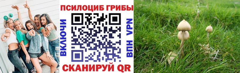 МЕГА   Облучье  Псилоцибиновые грибы MAGIC MUSHROOMS 